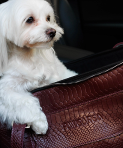 VIP Luxury Bordeaux Embossed Leather Pet Carrier