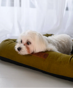 MONOLITH Premium Velvet Dog Bed with Removable Mattress