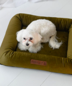 MONOLITH Premium Velvet Dog Bed with Removable Mattress - Image 3